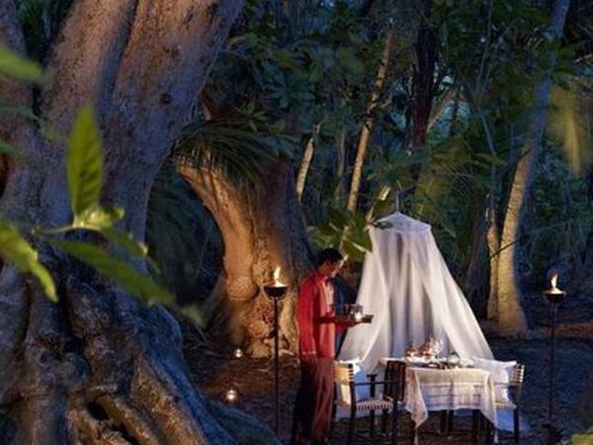 Shangri La´s Villingili Maledivy - večeře v džungli
