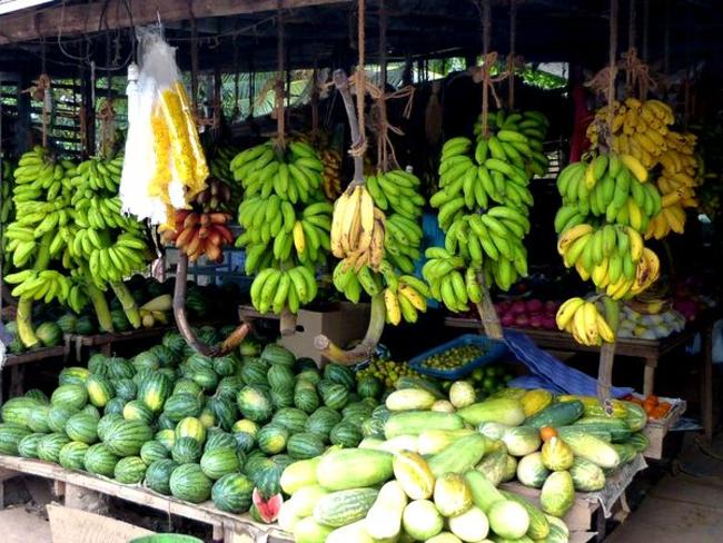 ovoce Srí Lanka