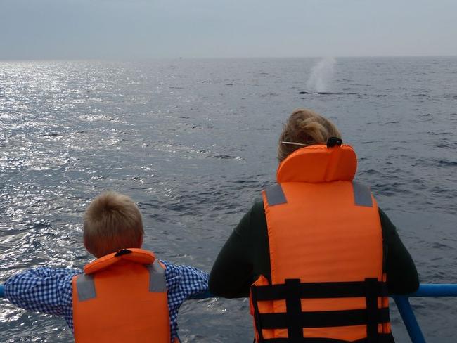 pozorování velryb v Mirisse